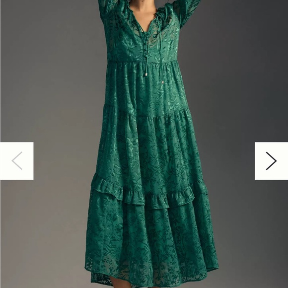 Anthropologie Dresses & Skirts - The Marais Maxi Dress: Satin-Burnout Edition in Green